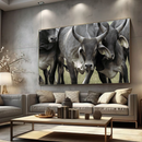 Quadro Gado Guzerá Imponente