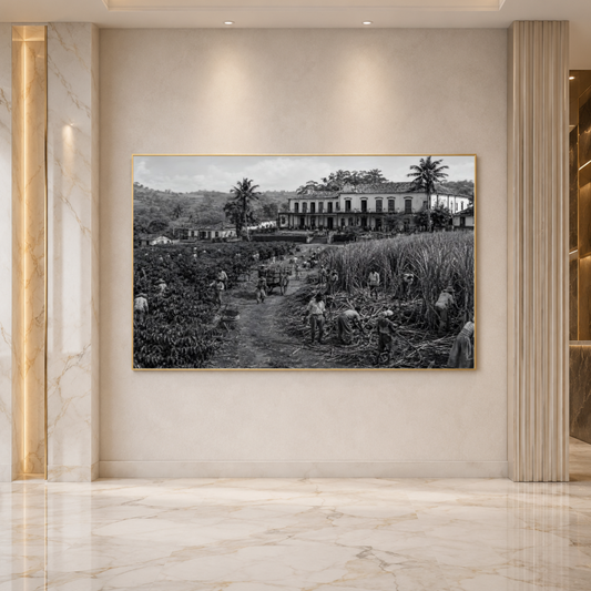 Quadro Casa de Praia Fazenda Vintage