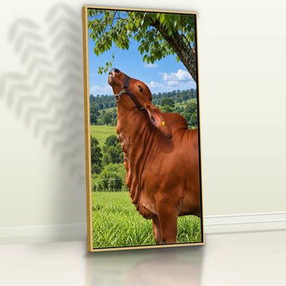 Quadro Cozinha Touro Nelore Rural