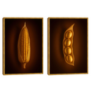 Duo de Quadros Soja e Milho Exclusive Gold
