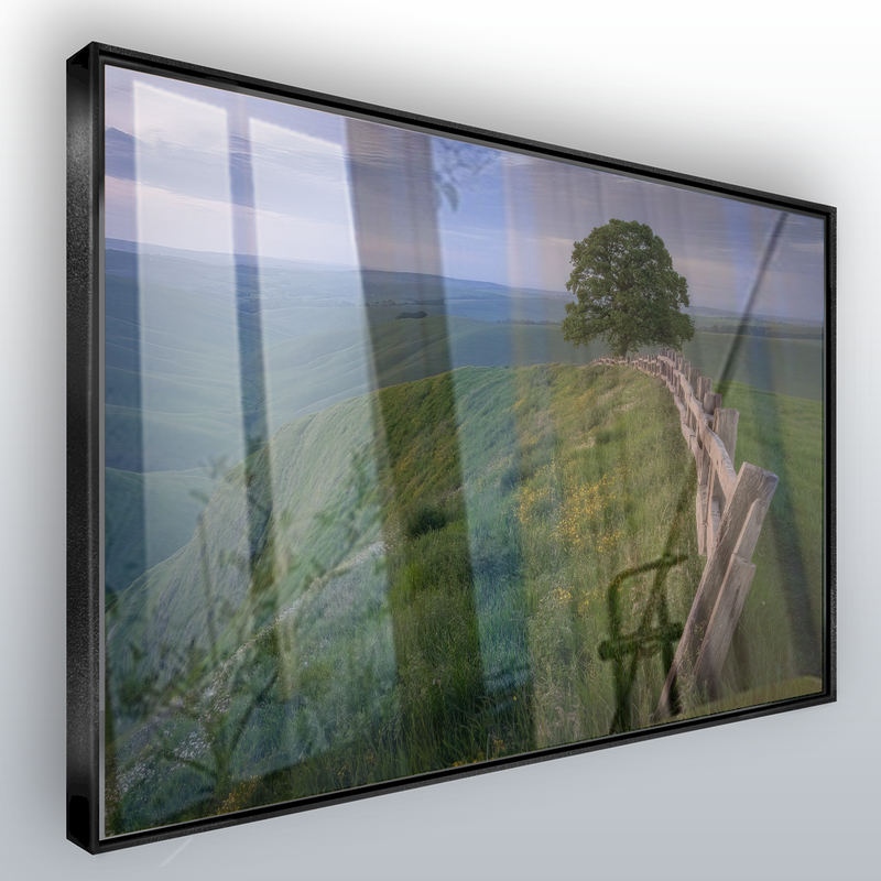 Quadro Sertão Cerca Campo