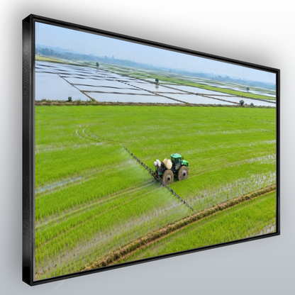 Quadro Escritório Campo Verde Trator