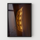 6-100x150-MPCCV-N521