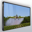 Quadro Escritório Avião Pulverizador