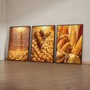Quadro Trio Espigas De Milho Maduras