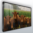 Quadro Gado Red Pastando Pivo Lavoura De Milho