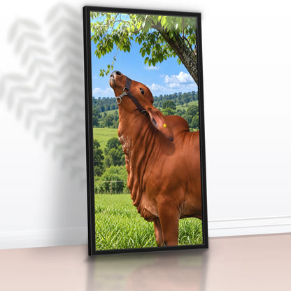 Quadro Cozinha Touro Nelore Rural