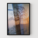 Quadro Arvore E Pôr Do Sol