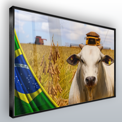 6-120x80-MPCCV-N765654557601