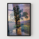 Quadro Arvore E Lago Fim De Tarde