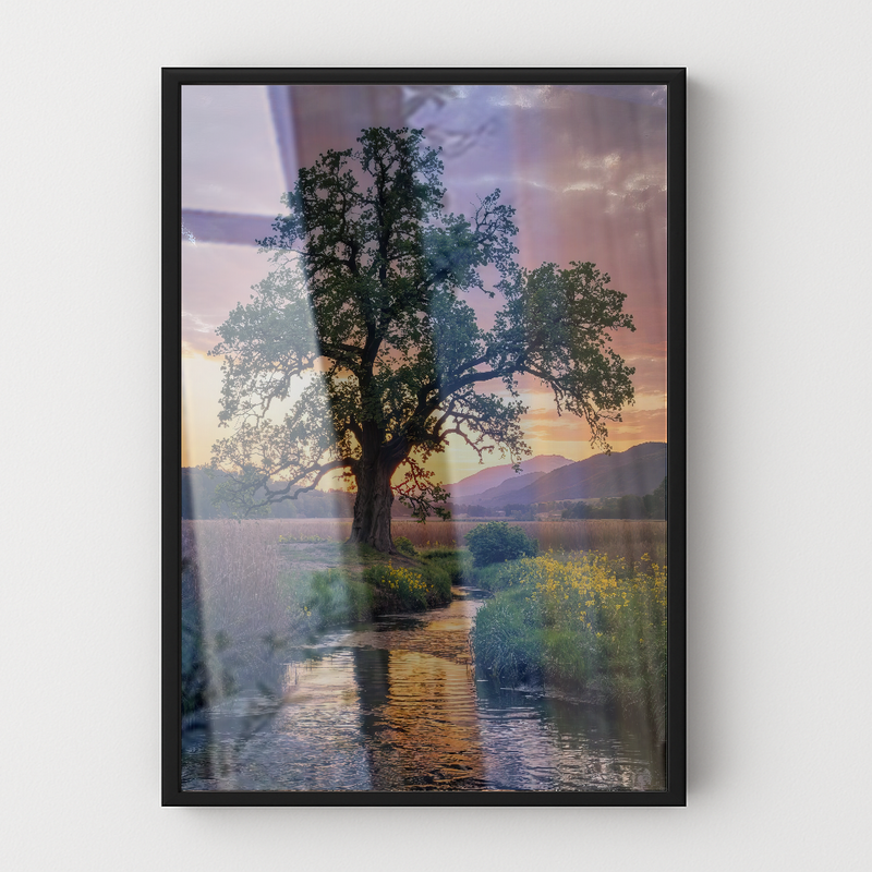 Quadro Arvore E Lago Fim De Tarde