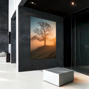 Quadro Arvore E Pôr Do Sol