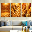 Quadro Trio Espigas De Milho Maduras