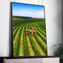 Quadro Colheita Café Vertical