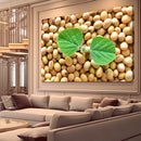 Quadro Graos De Soja