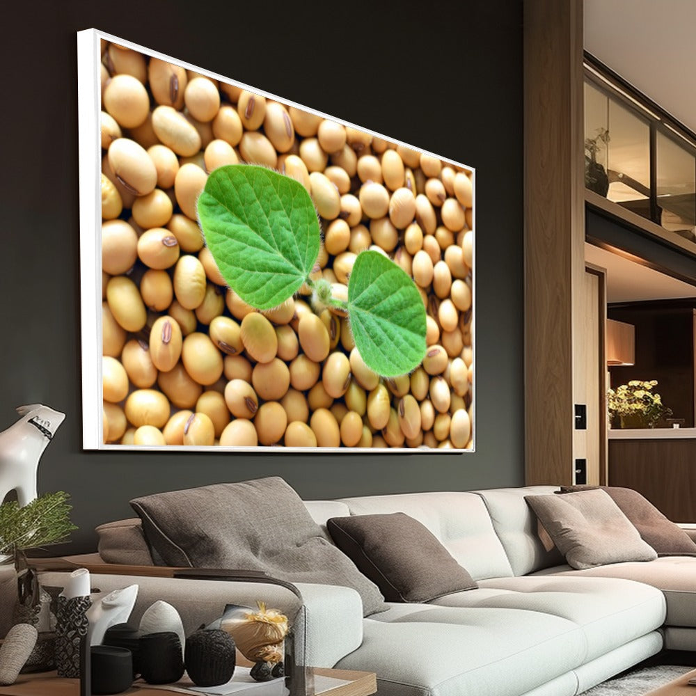 Quadro Graos De Soja