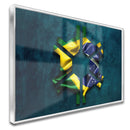 Quadro Agronomia Brasil