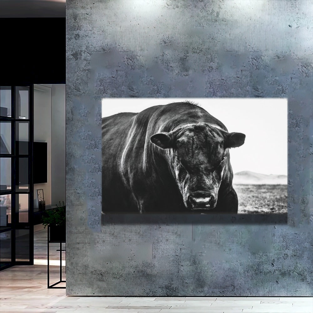 Quadro Boi Black Angus
