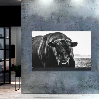 Quadro Boi Black Angus
