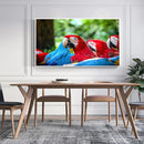 Quadro Bando Araras Azul