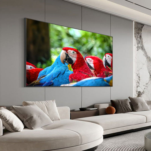 Quadro Bando Araras Azul