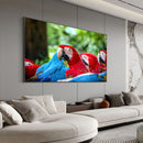 Quadro Bando Araras Azul