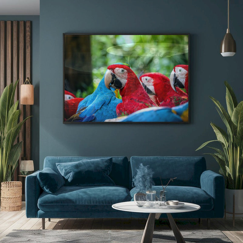 Quadro Bando Araras Azul
