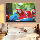 Quadro Bando Araras Azul