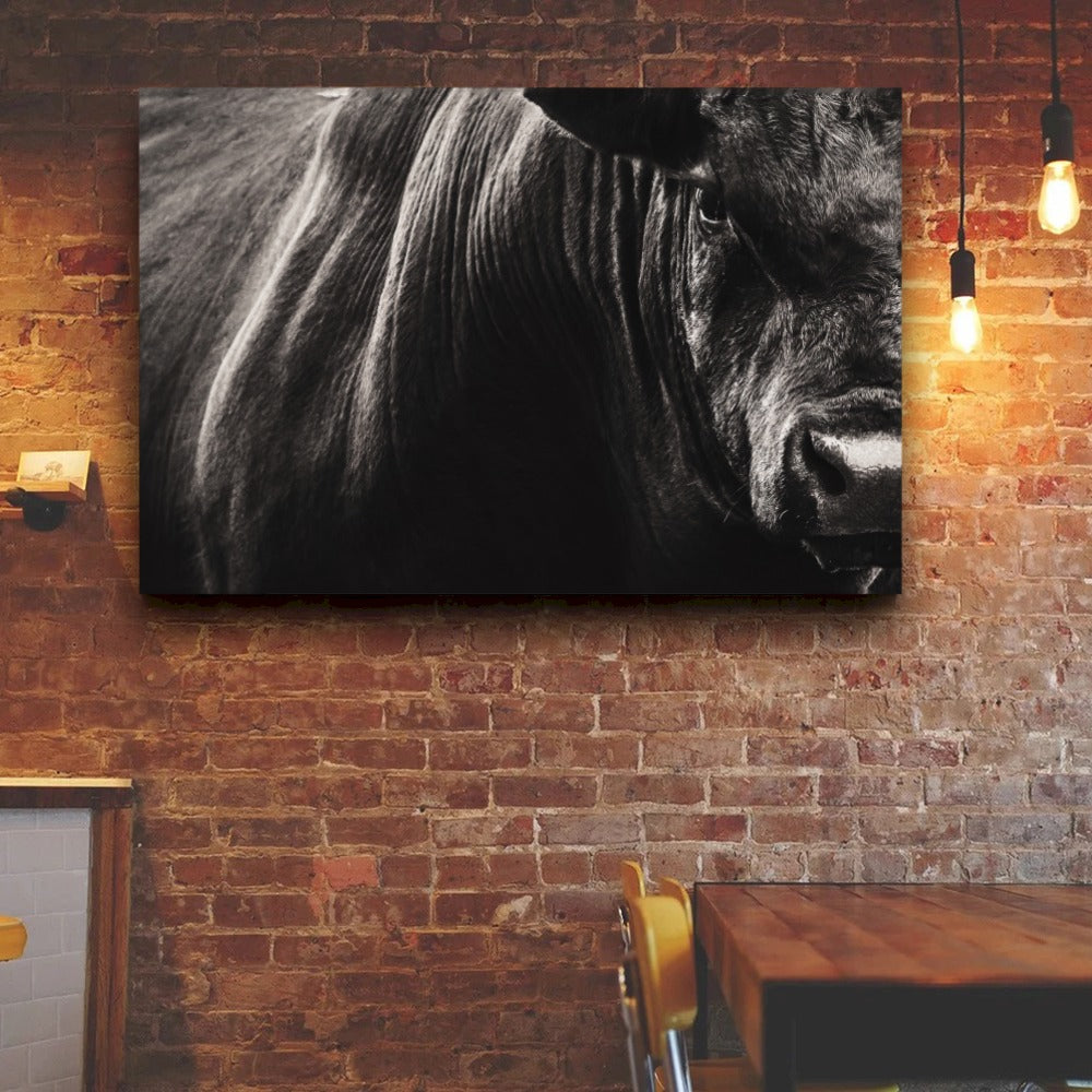Quadro Boi Bravo Negro