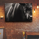 Quadro Boi Bravo Negro