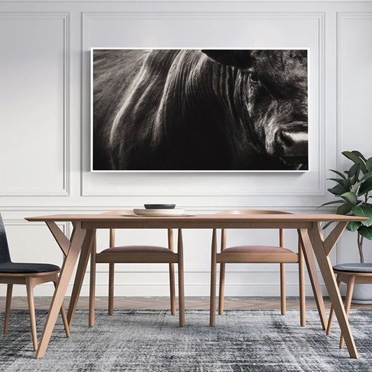 Quadro Boi Bravo Negro