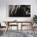 Quadro Boi Bravo Negro