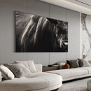 Quadro Boi Bravo Negro