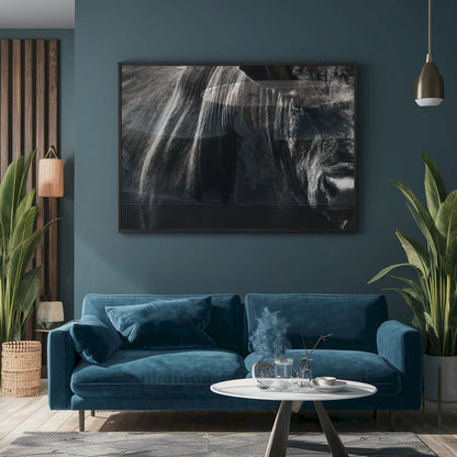 Quadro Boi Bravo Negro