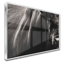 Quadro Boi Bravo Negro