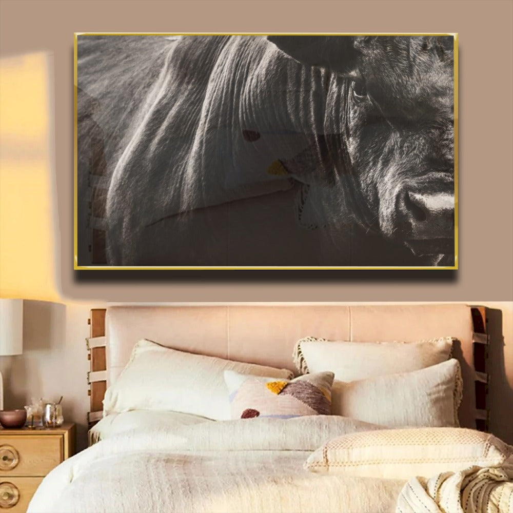 Quadro Boi Bravo Negro