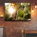 Quadro Bananeira Verde