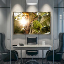 Quadro Bananeira Verde