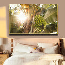 Quadro Bananeira Verde