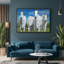 Quadro Boi Nelore Pasto Verde