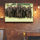 Quadro Bois Bonsmara