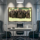 Quadro Bois Bonsmara