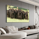 Quadro Bois Bonsmara