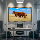 Quadro Bois Junta Red Angus