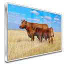 Quadro Bois Junta Red Angus