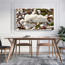 Quadro Capulho De Algodão