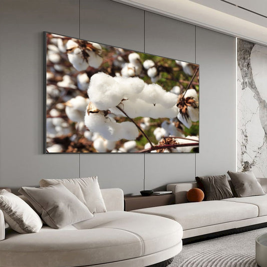 Quadro Capulho De Algodão