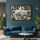 Quadro Capulho De Algodão