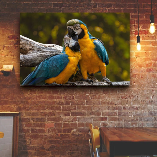 Quadro Casal De Araras