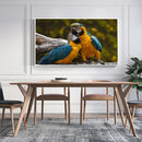Quadro Casal De Araras